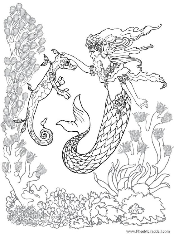 Coloring page mermaid and seahorse