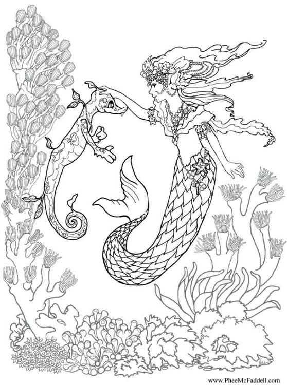 mermaid and seahorse