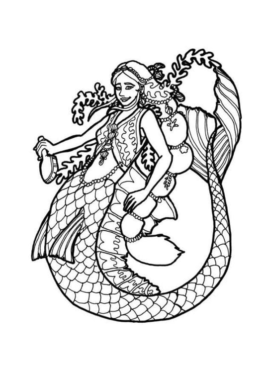 Coloring page mermaid