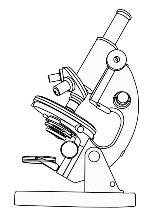 Coloring page microscope