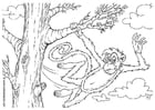 Coloring pages monkey