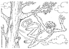 Coloring pages monkey