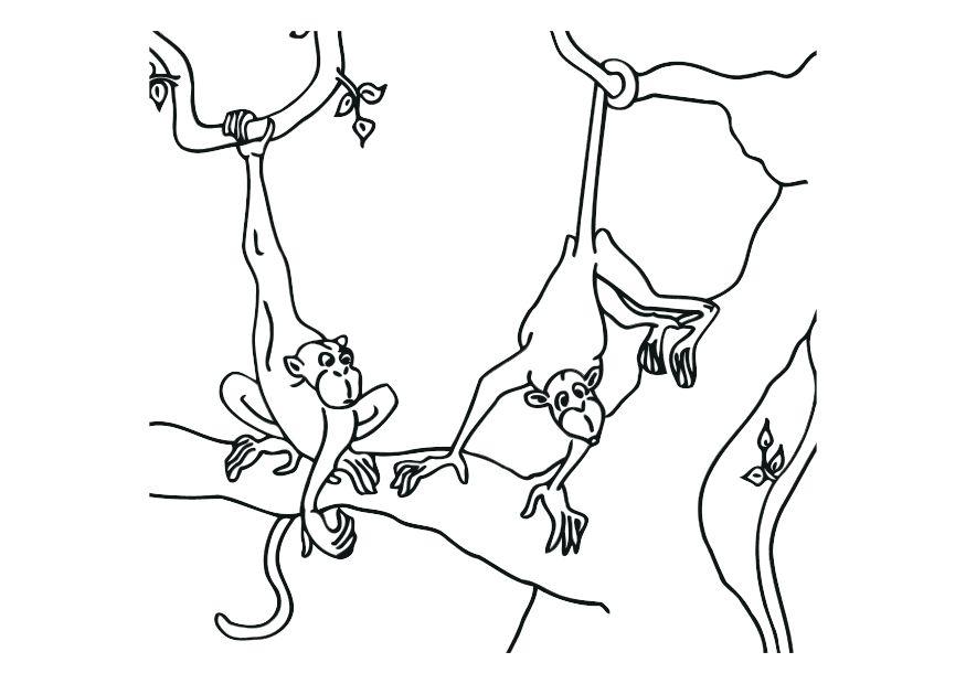 Coloring page monkeys
