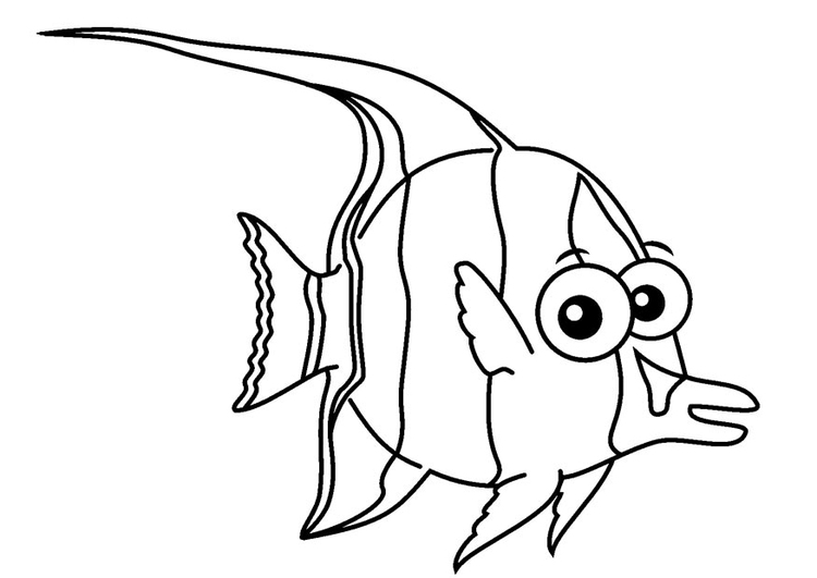 Coloring page moorish idol