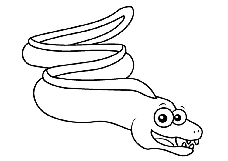 Coloring page moray eel