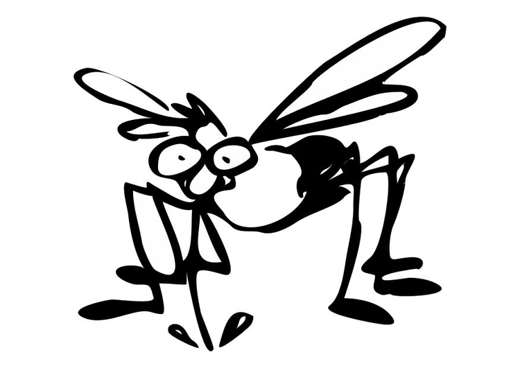 Coloring page mosquito