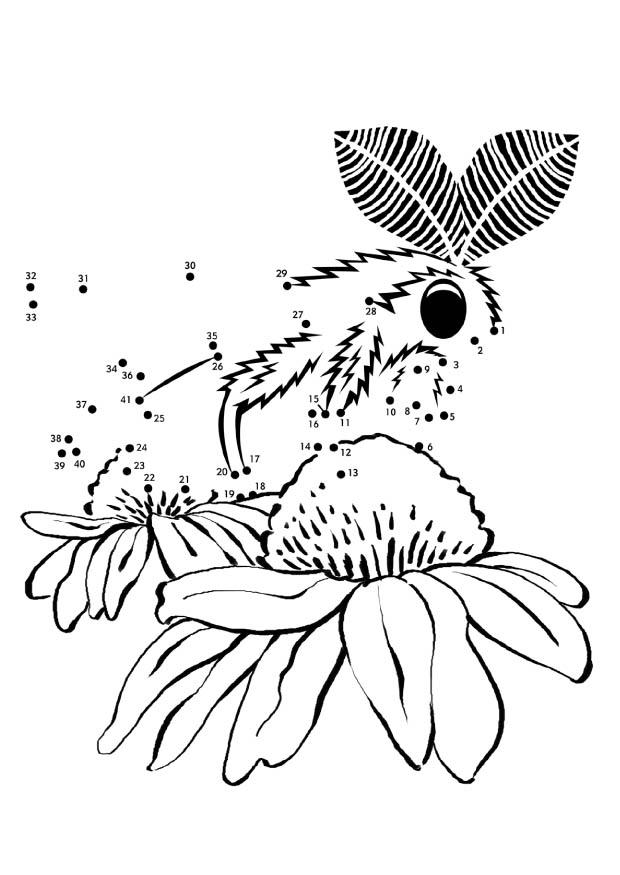Coloring page moth