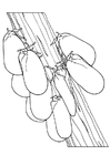 Coloring page moths on branch