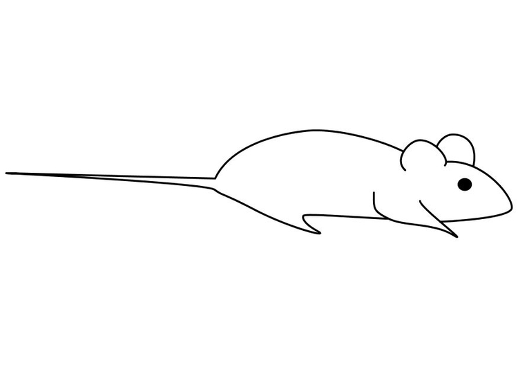 Coloring page mouse