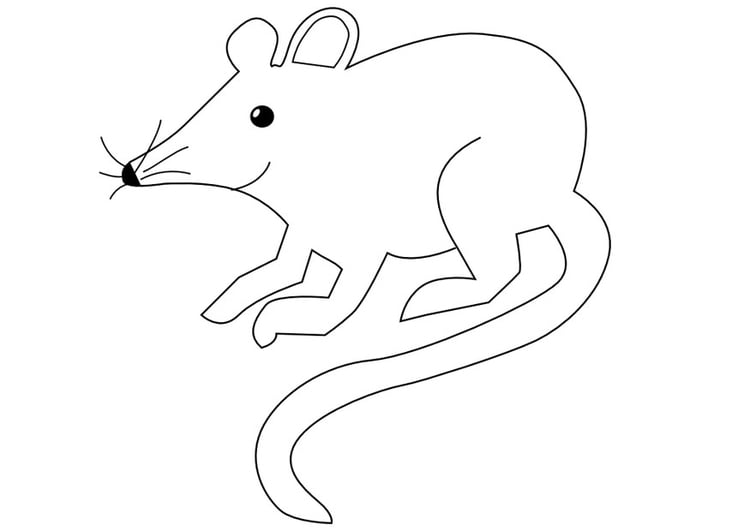 Coloring page mouse