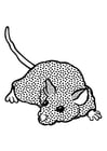 Coloring pages mouse