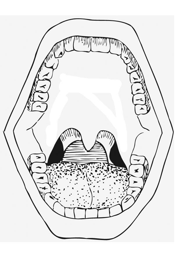Coloring page mouth