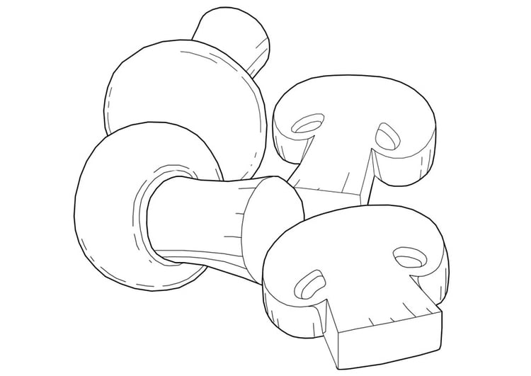 Coloring page mushrooms