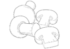 Coloring page mushrooms