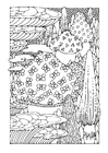 Coloring pages mushrooms