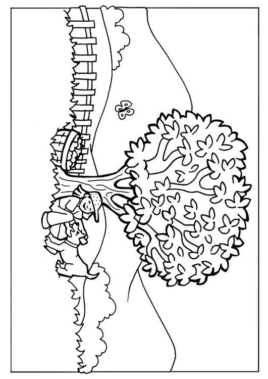 Coloring Page nature - free printable coloring pages - Img 7106