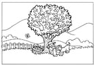 Coloring page nature