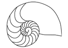 Coloring pages nautilus mollusc squid