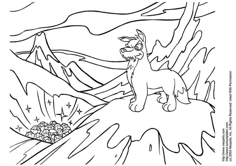 Coloring page neopets winter