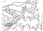 Coloring page neopets winter