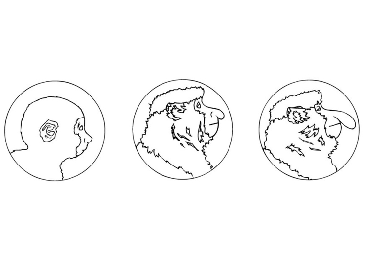 Coloring page nose monkey