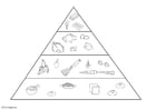 Coloring page nutrition pyramid