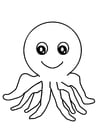 Coloring pages octopus