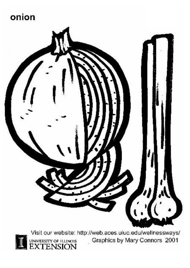Coloring page onion