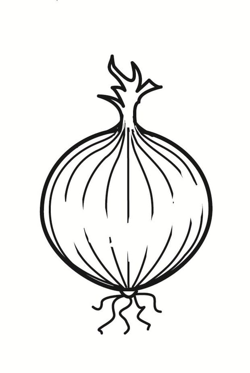 Coloring page onion