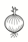 Coloring pages onion