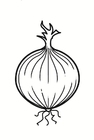 onion