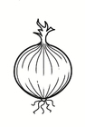 Coloring pages onion