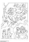Coloring page orangutan