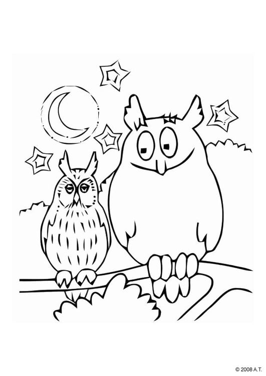 Coloring page owl