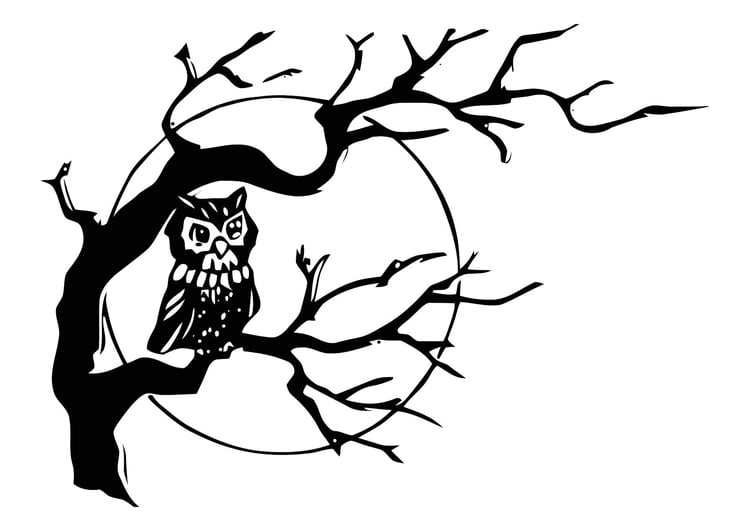 Coloring page owl