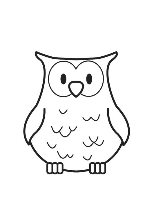 Coloring page Owl