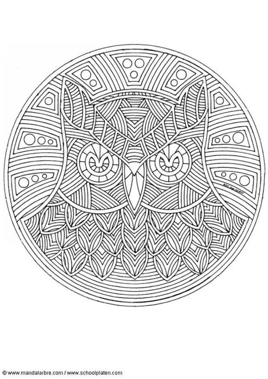 owl mandala