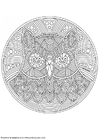 Coloring page owl mandala