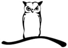 Coloring pages owl on branch