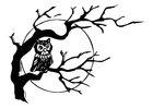 Coloring page owl