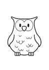 Coloring page Owl