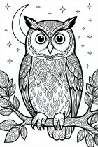 owl