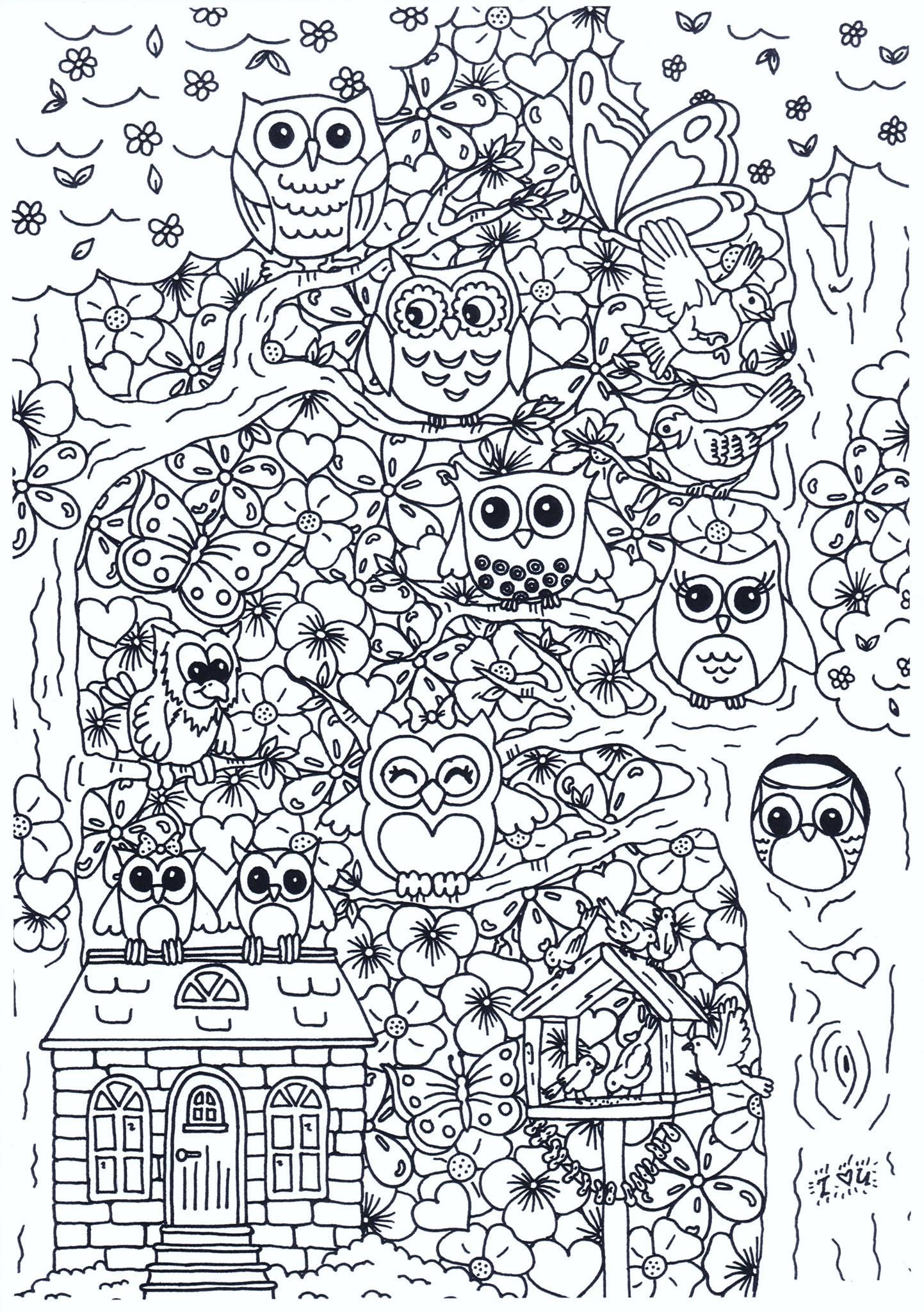 Coloring page owls in the forest
