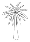 Coloring pages palm tree