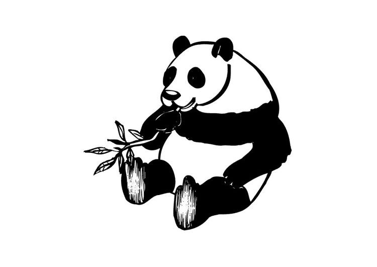 Coloring page panda