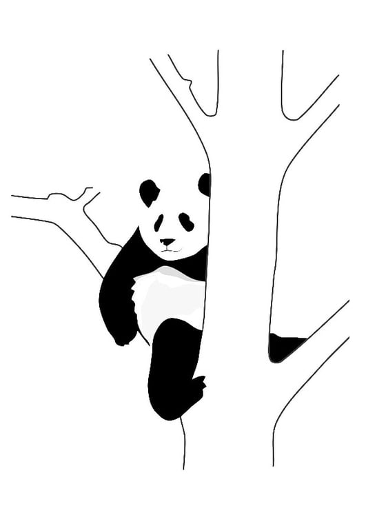 Coloring page panda in tree