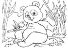 Coloring page panda