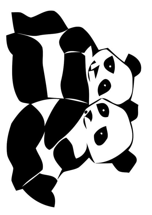 pandas