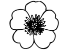 Coloring page pansy