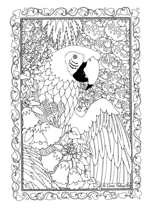 Coloring page parrot